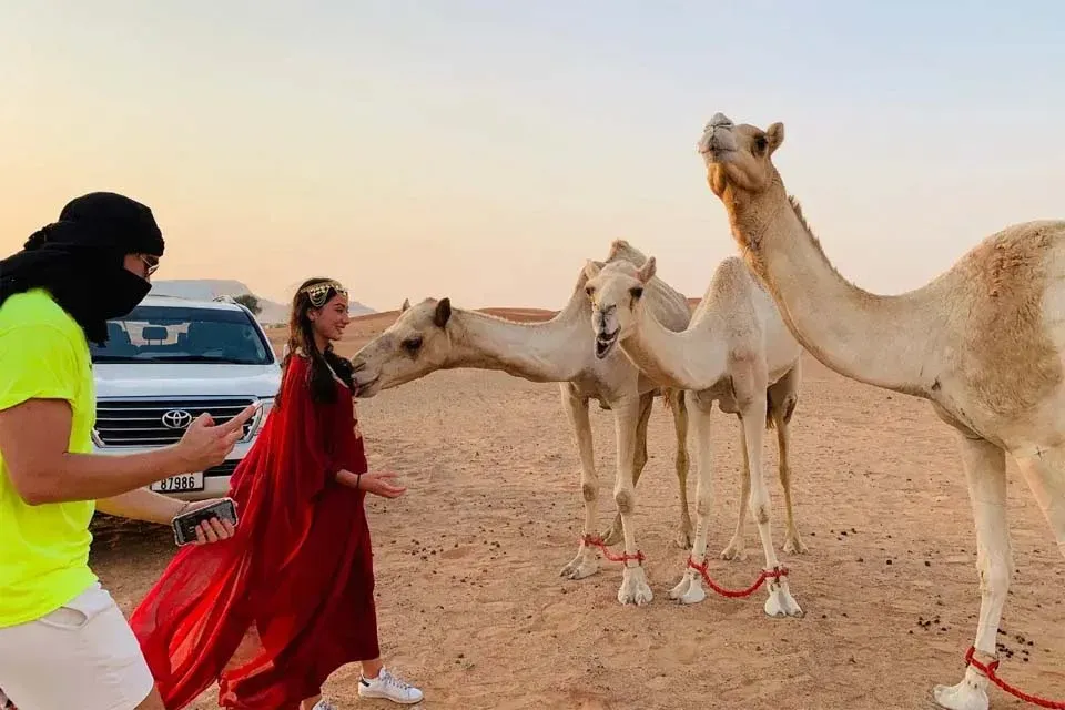 Camel Ride