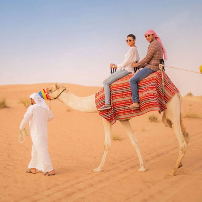 Premium Desert Safari